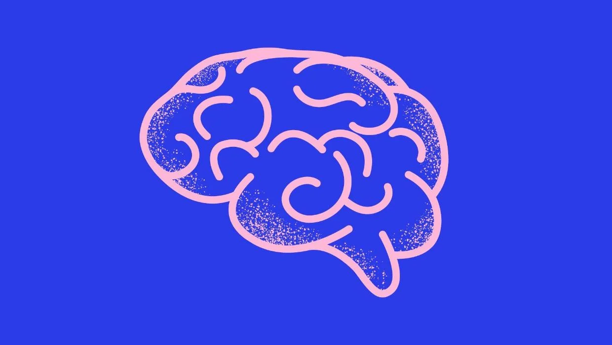 Quiz: the Hard Word ... to Reach a Particular Level Stay the Same