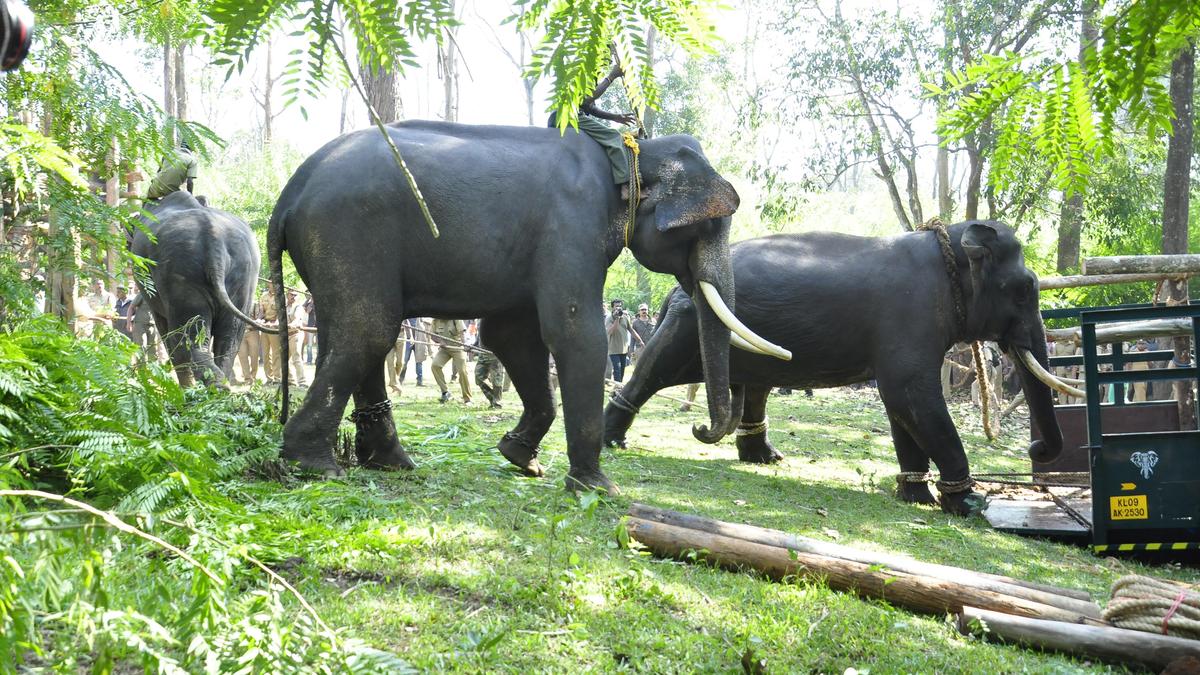 Developing Story: Keralam Forest department to get animal ambulances from Vantara animal rehab centre in Gujarat