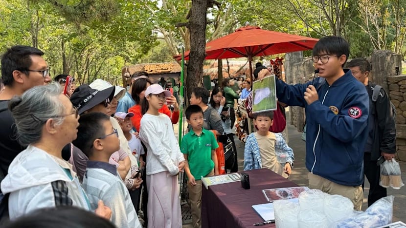 Beijing Park's Holiday Caterpillar Hunt Targets 'forest Food Monster