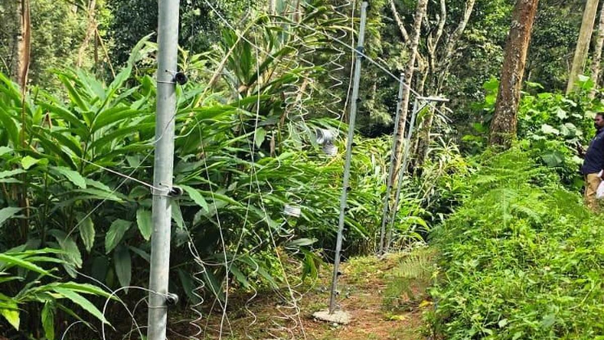 Re-erected Fences Block Elephant Passages at Panthadikkalam in Idukki