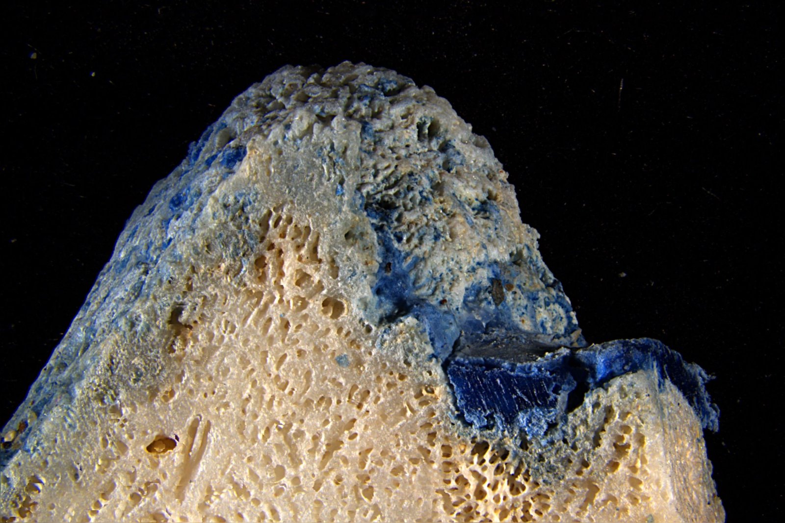 Plastic Is Melting Onto Corals
