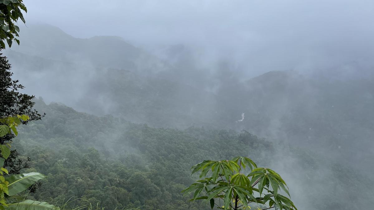 Developing Story: Mapping of two Western Ghats districts shows much of proposed ESA overlaps with Notified Forests, Protected Areas, or existing ESZs