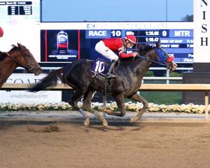 Market Developments: Chicory Blaze on fire in $150,000 To Much Coffee Handicap at Horseshoe Indianapolis