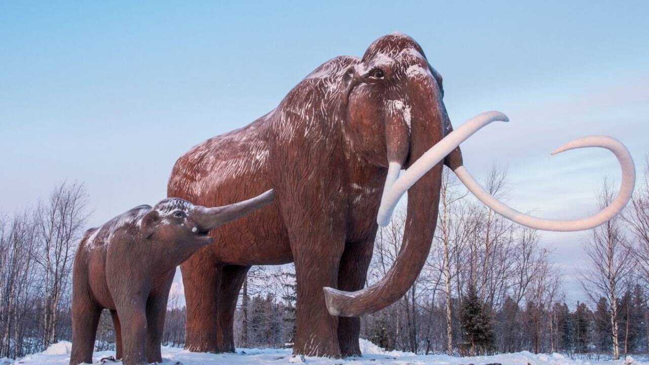 Jurassic Park': Using AI, Scientists Try Reviving Extinct Wolves, Woolly Mammoths