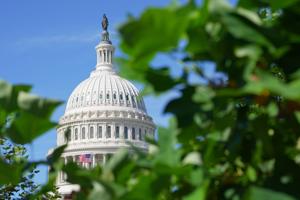 Corporate Strategy: Renee Good’s family deserved better than a ‘shadow hearing
