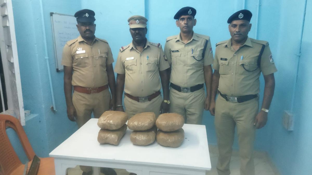 16 kg Ganja Seized in Tamil Nadu; Four Arrested in RPF and Nemili Police Operations