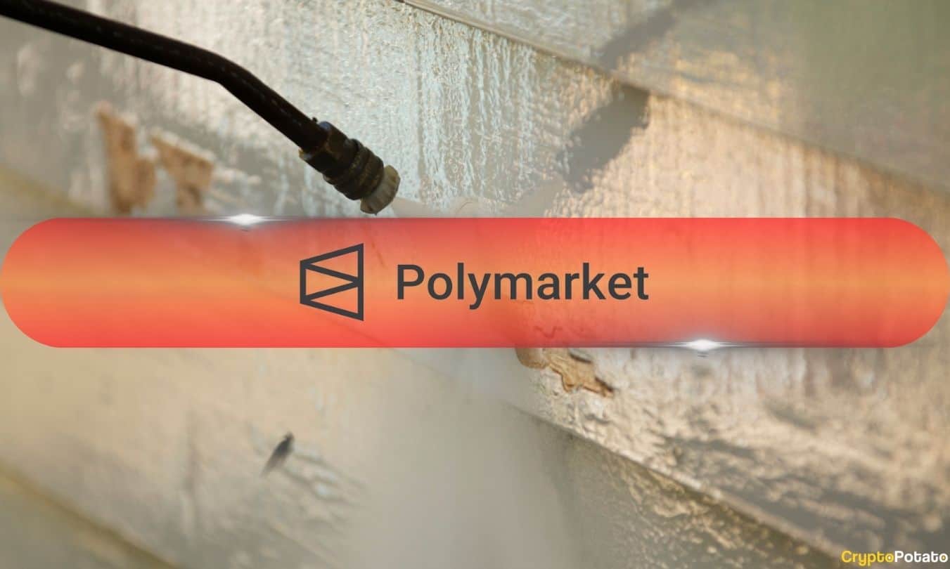 Polymarket Bloodbath: 69% of Retail Traders Lose $338.9M, Galaxy Research Reveals