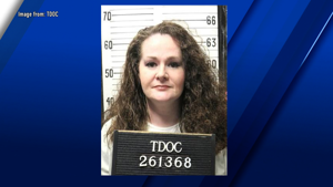 Enterprise Tech Shift: Governor of Tennessee halts executions, orders review after failed injection and the Scaling Frontier