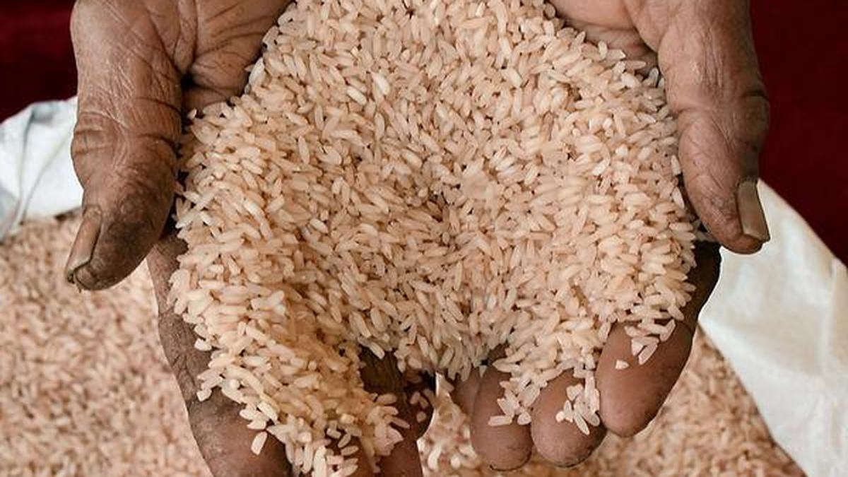 Massive PDS Rice Scam Busted: FCI Godown Rice Diverted to Export
