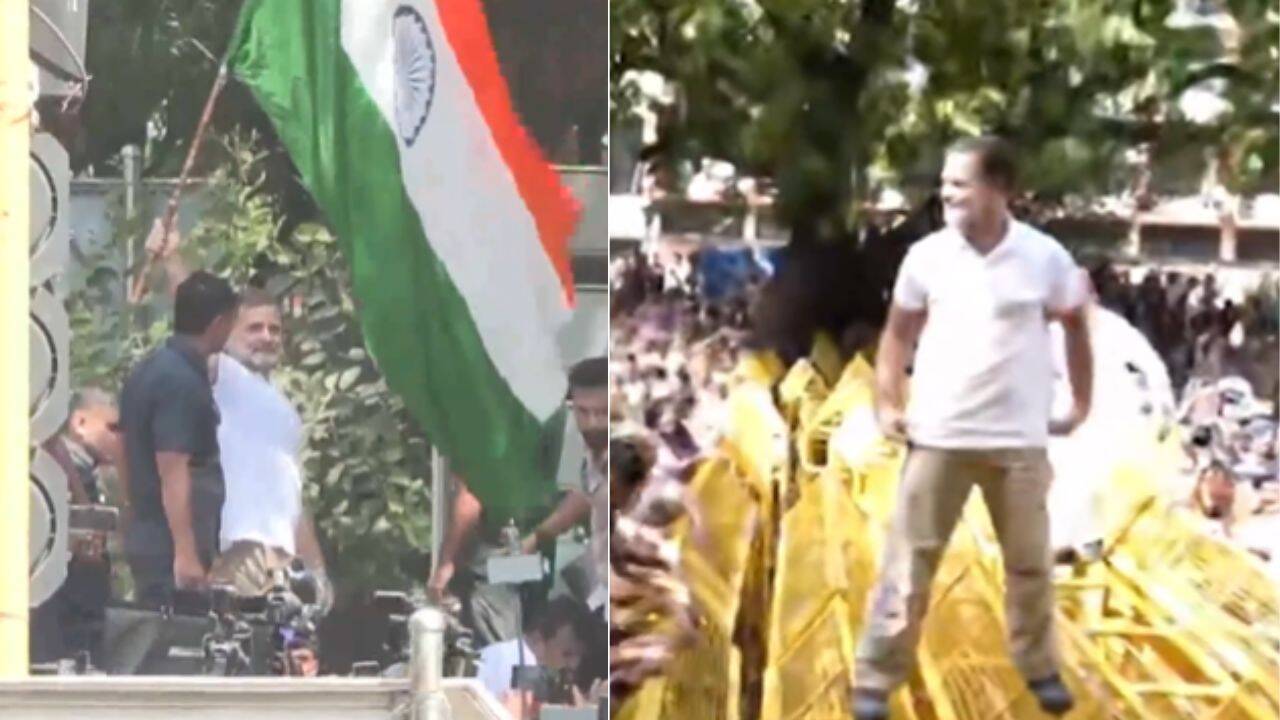 Rahul Climbs Barricades, Waves Tricolour As Cops Stop INDIA Bloc March Against CEC