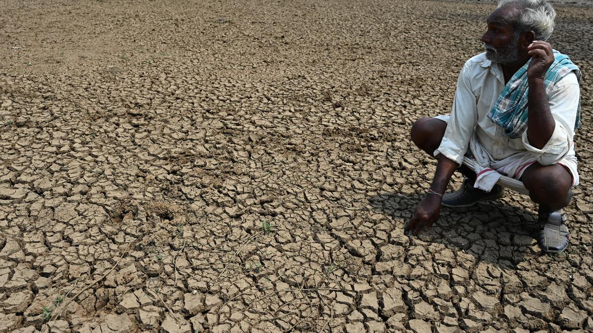 Developing Story: IAT recommends pension or life insurance cover for farmers to insulate from distress