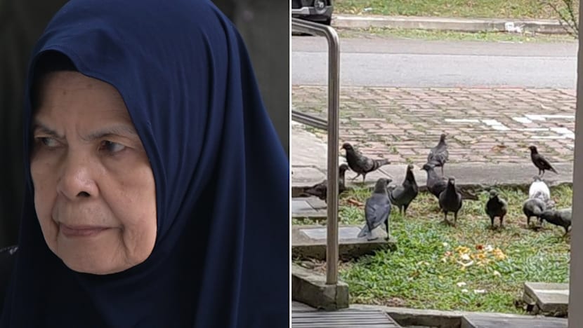 Developing Story: 78-year-old woman fined for repeatedly feeding pigeons, hitting surveillance officer