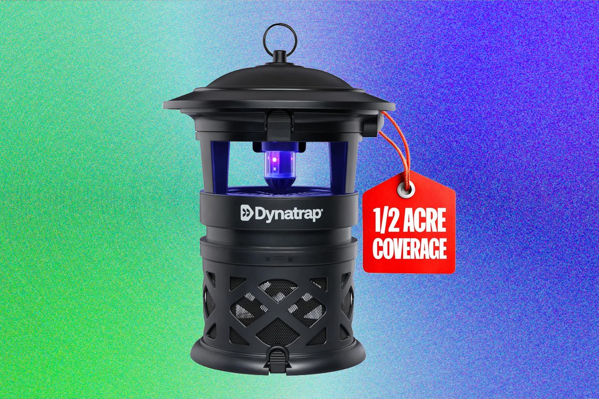 Tech Frontier: Best Mosquito Repellents for Your Yard: What Works and What Doesn’t (2026)