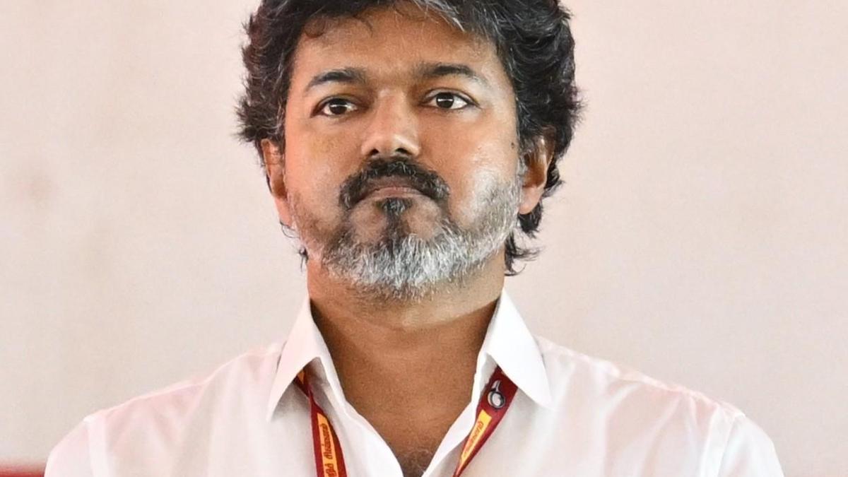 Tamil Nadu CM Vijay Faces Land Grab Allegations in Madras HC
