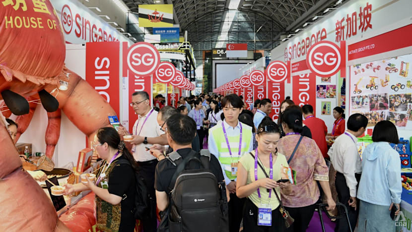 International Briefing: From ‘red ocean’ to ‘blue ocean’: Why Singaporean firms are exploring Nanning to enter China’s market