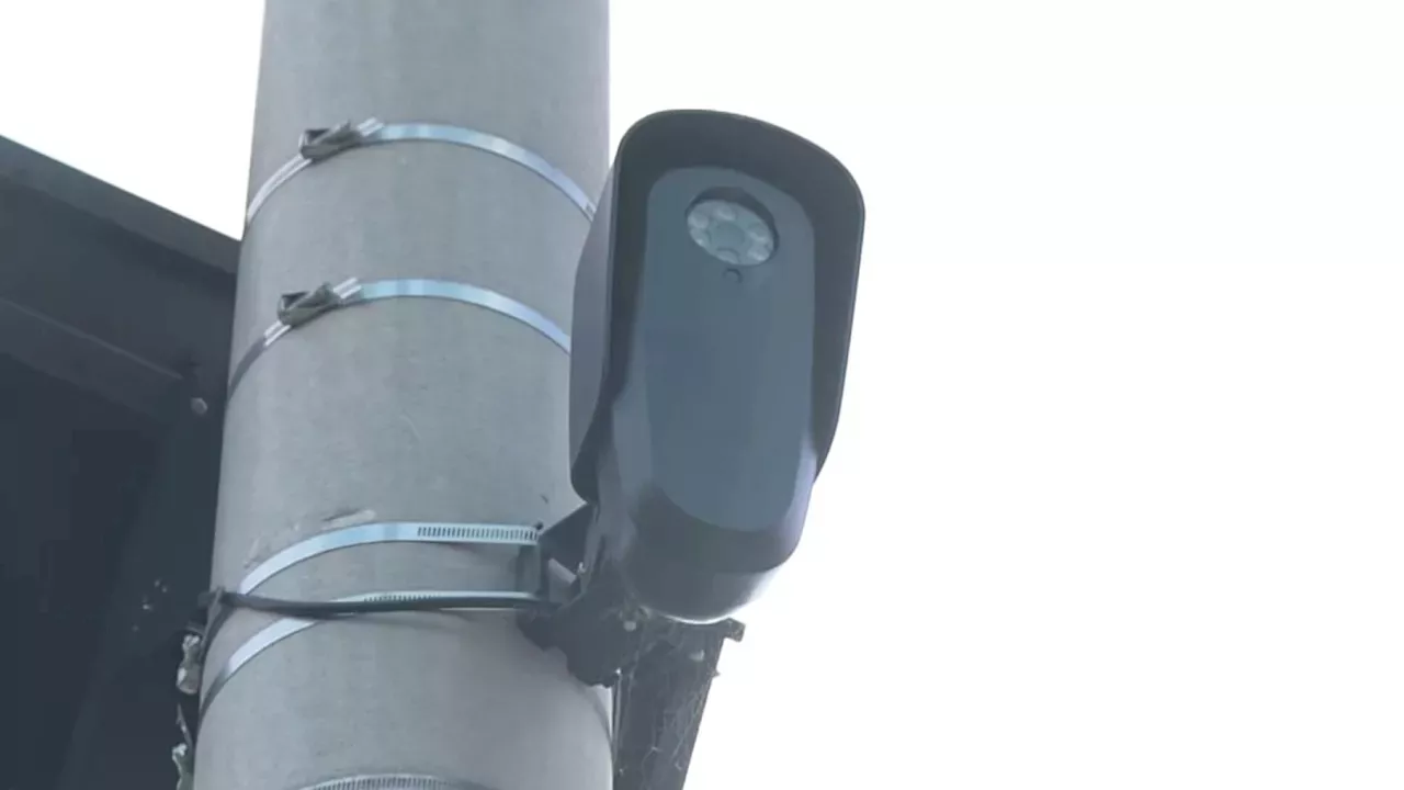 Corporate Strategy: Marin County Flock Cameras Accessed by Out-of-State Agencies for Nine Weeks