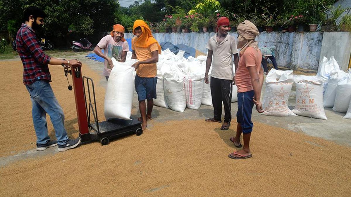 Supplyco Granted Permission to Resume Agreements With Rice Mills, Says Keralam Minister