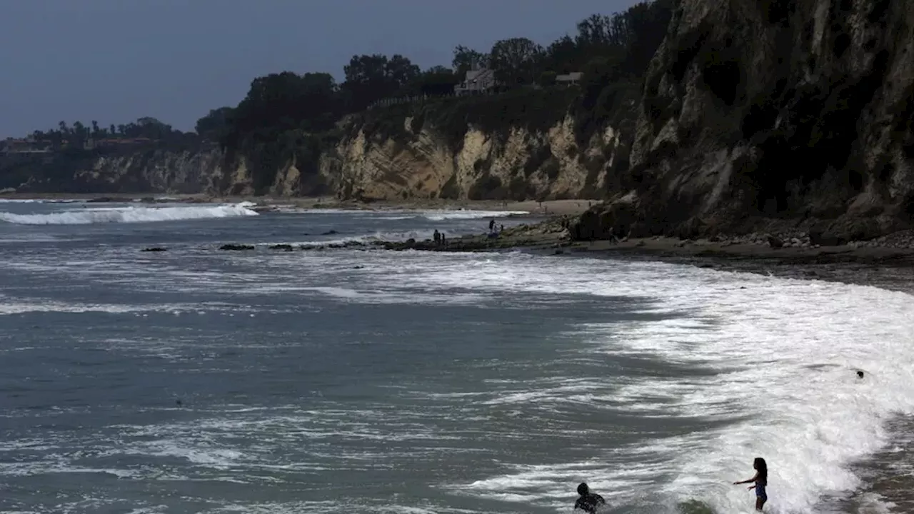 Kayaker Mauled by Shark Twice in Terrifying Attack Off Paradise Cove