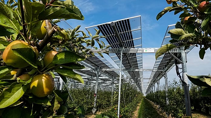 Why Farming and Solar Power Are Competing for Land. Can Agrivoltaics Solve the Problem Has Sparked Heated Debate