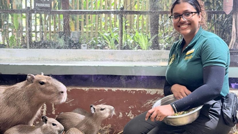 Global Perspective: Meet a 25-year-old third-generation zookeeper whose family has worked at the zoo since it opened 53 years ago