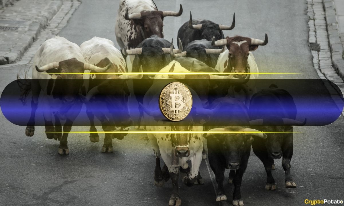 Crypto Markets in Focus: Bitcoin Chart Echoes Cycle That Delivered 400% Gains: Analyst Amid Shifting On-Chain Metrics
