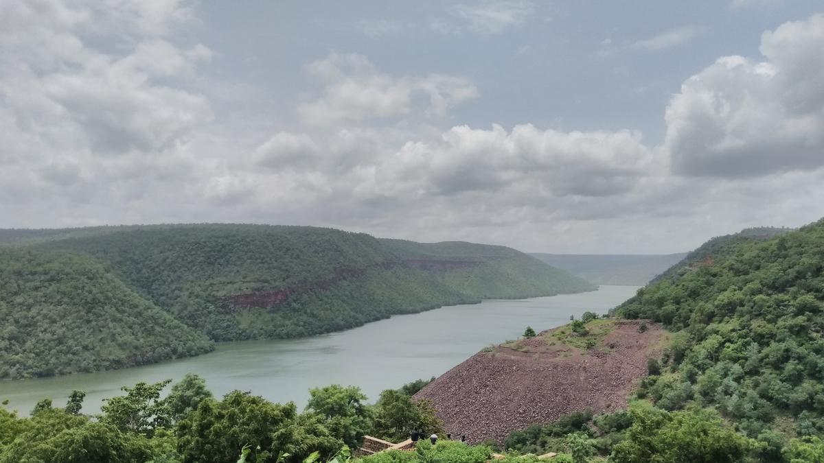 River Interlinking Sparks Invasive Species Crisis in India