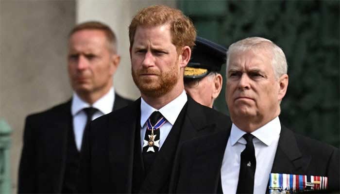 Harry Forgiven, Andrew Forgotten? Royals Accused of 'double Standard