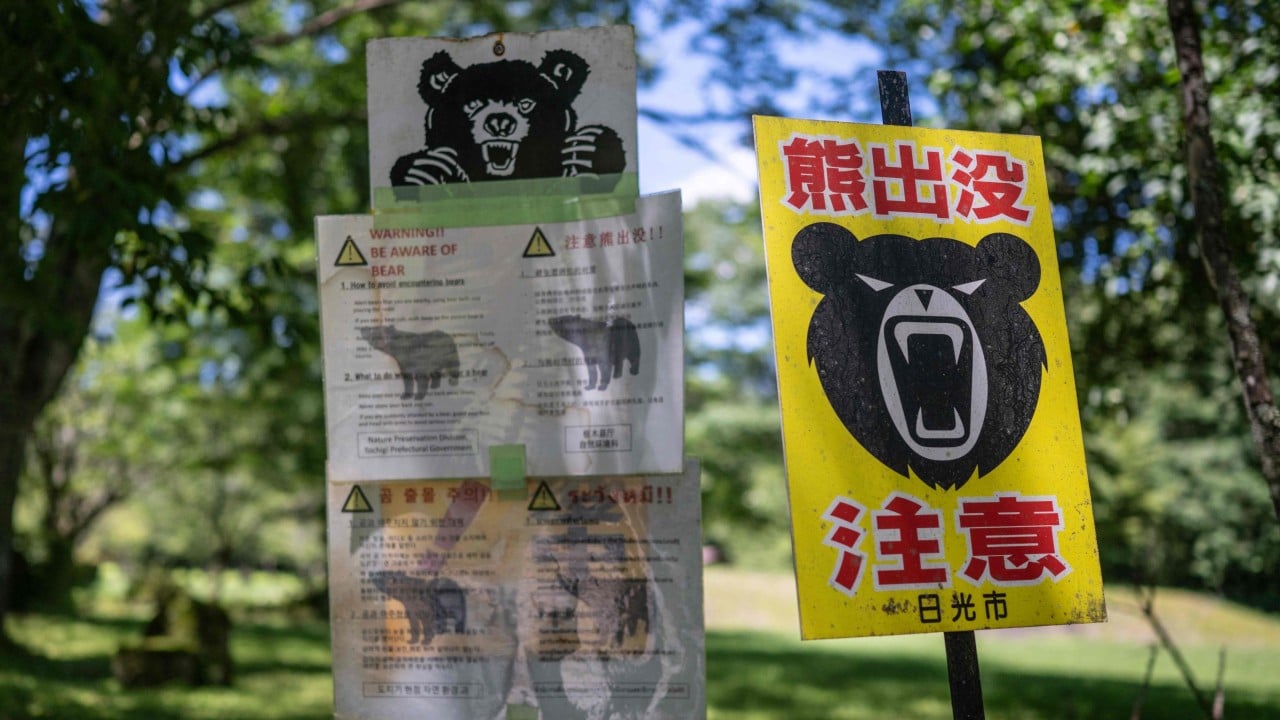 As Bear Launches Strikes on Rise in Japan, Fearful Residents Change Daily Routines as Regional Tensions Surge