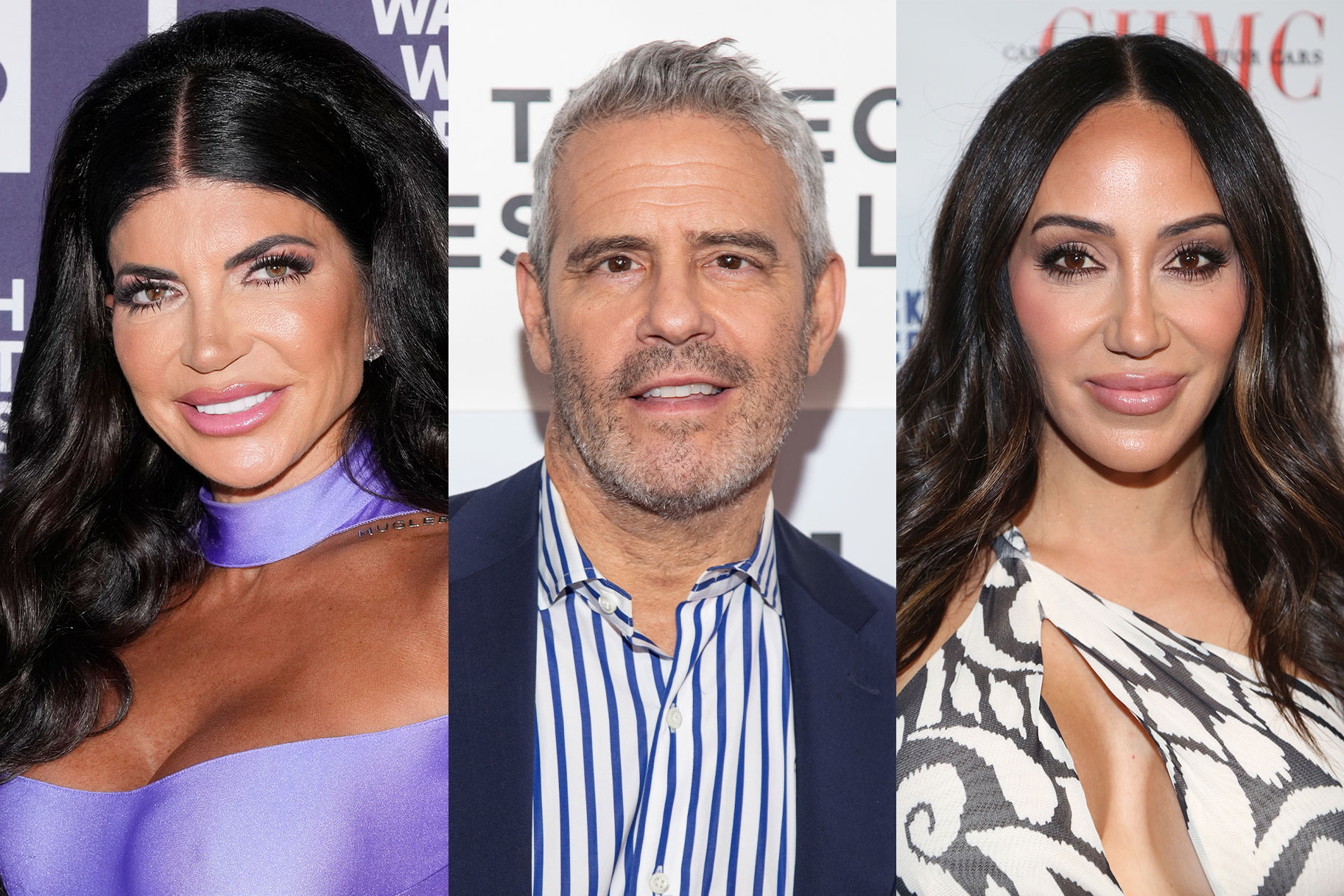 Why Andy Cohen and Melissa Gorga Both Apologized to Teresa Giudice on RHUGT