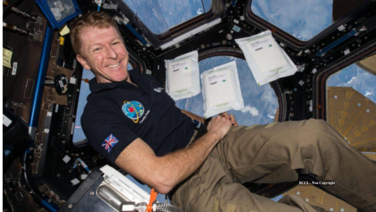 International Briefing: UK children tested 600,000 space seeds; they grew slower but stayed viable