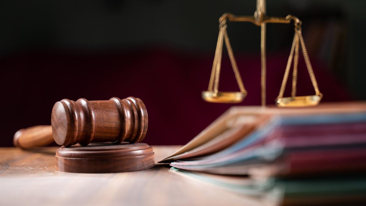 Bombay HC 'Very Perturbed' Over Goa Electoral Roll Deletions Without Hearing