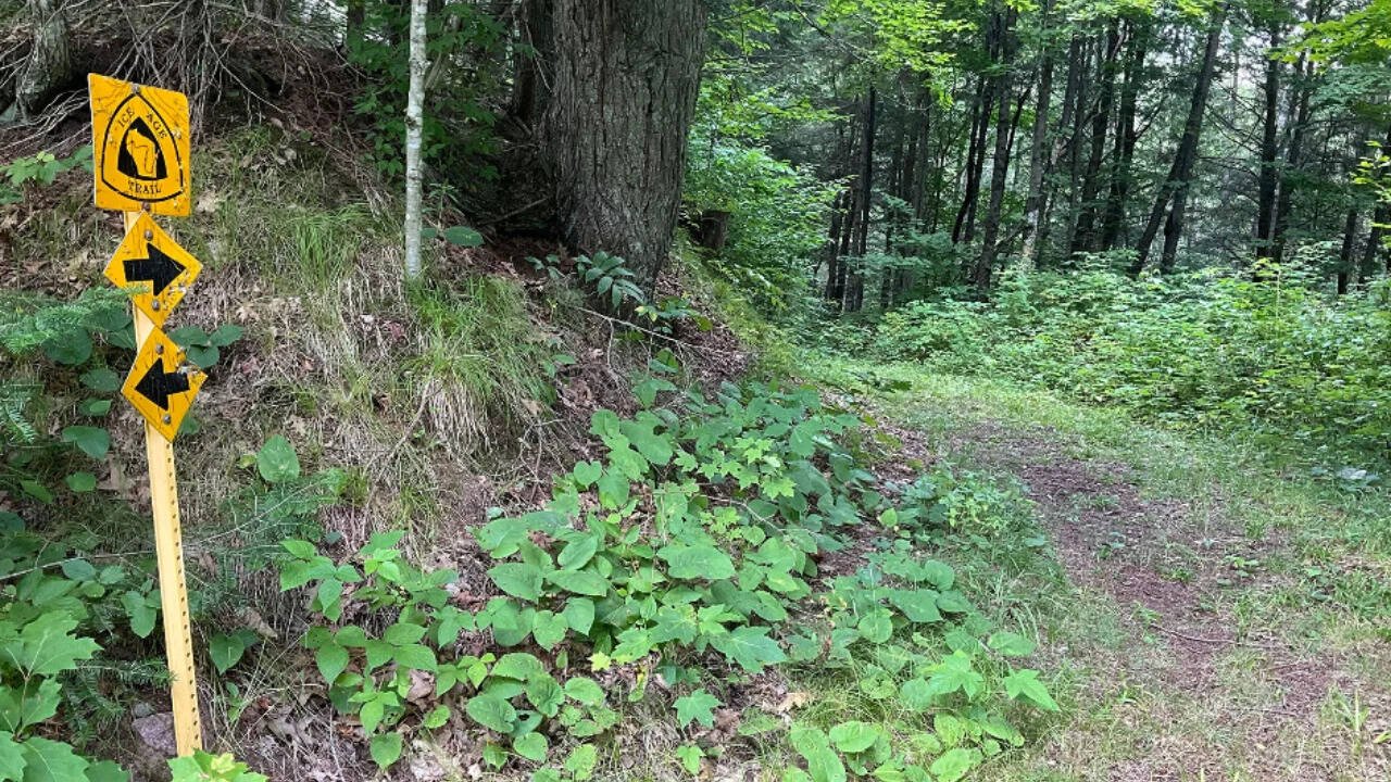 Wisconsin family protects nearly 1,800 forest acres in $1.6 million deal