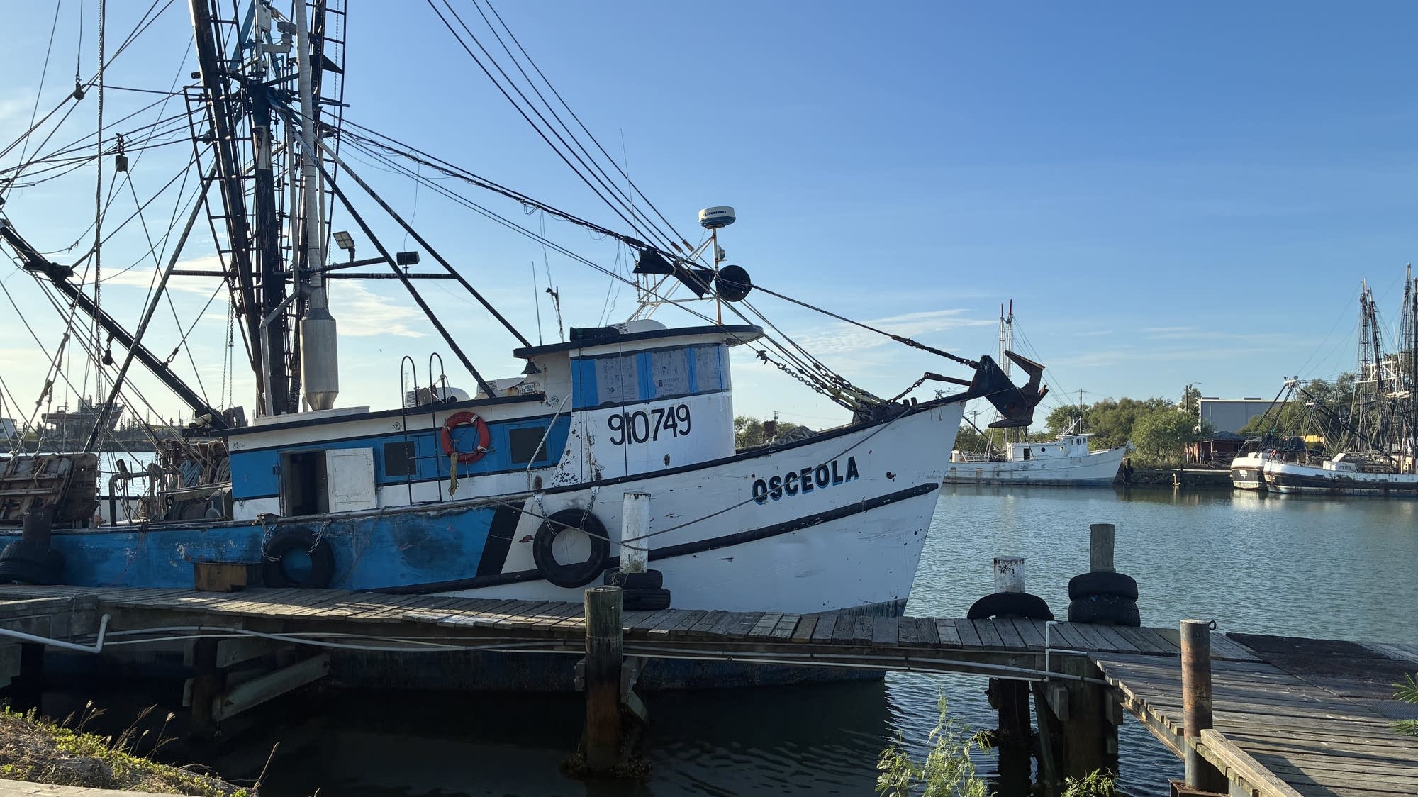 Gulf Shrimp Industry Faces Existential Threat as Fuel Prices Soar