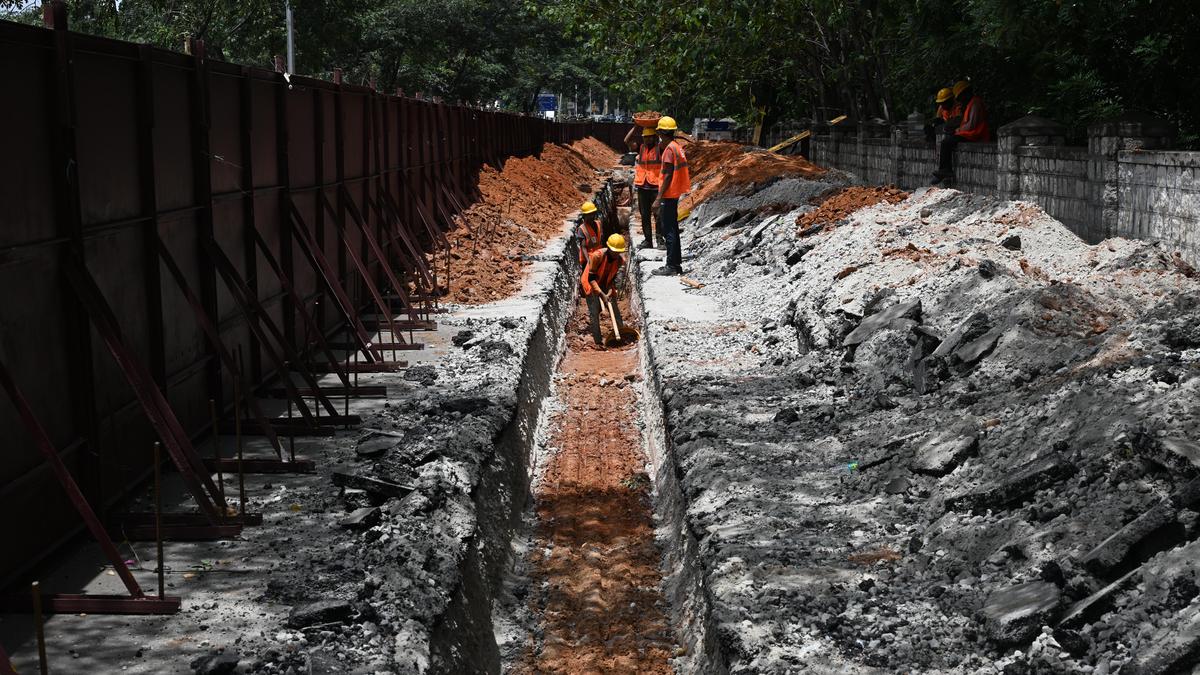 Bengaluru's Hebbal Tunnel Project: 1,072 Trees to Be Transplanted, 56 Felled, Says BDA Chairman