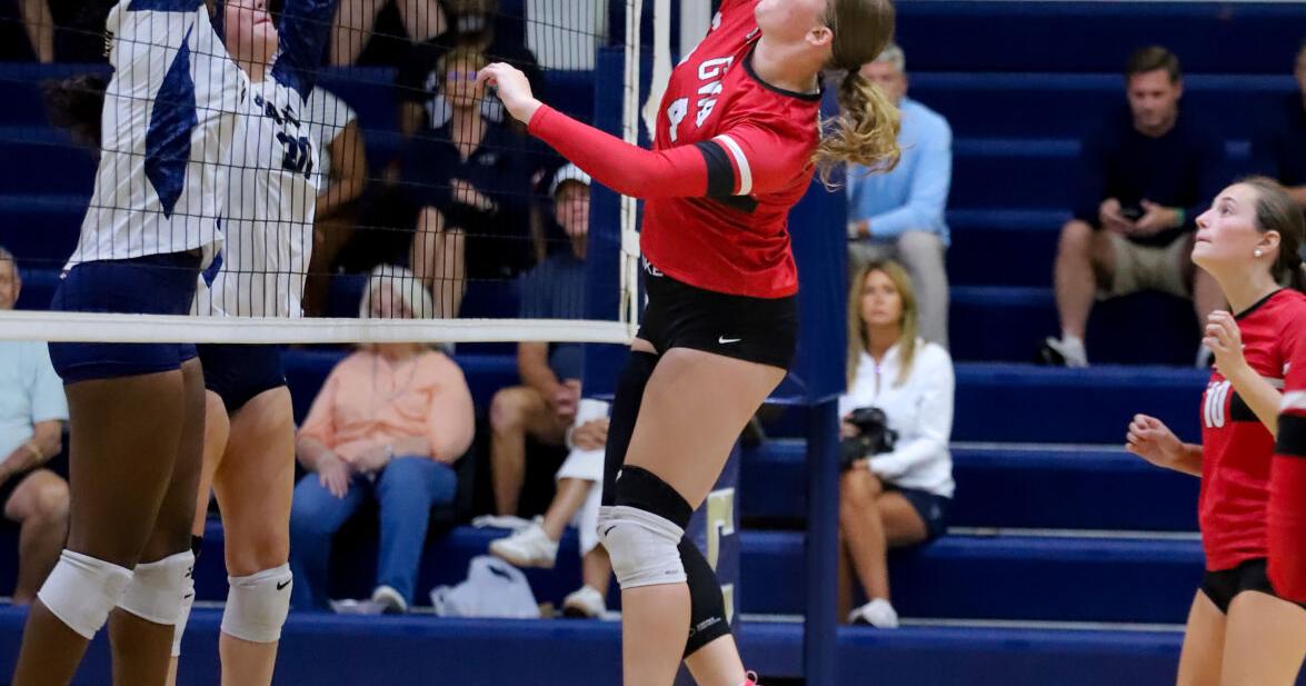 Market Developments: VOLLEYBALL: Lady Bulldogs, Lions seek state success this weekend
