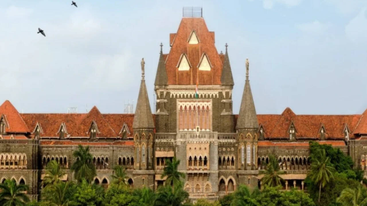 What Are You Doing?' Bombay Hc's Goa Bench Raps EC Over Voter Deletions