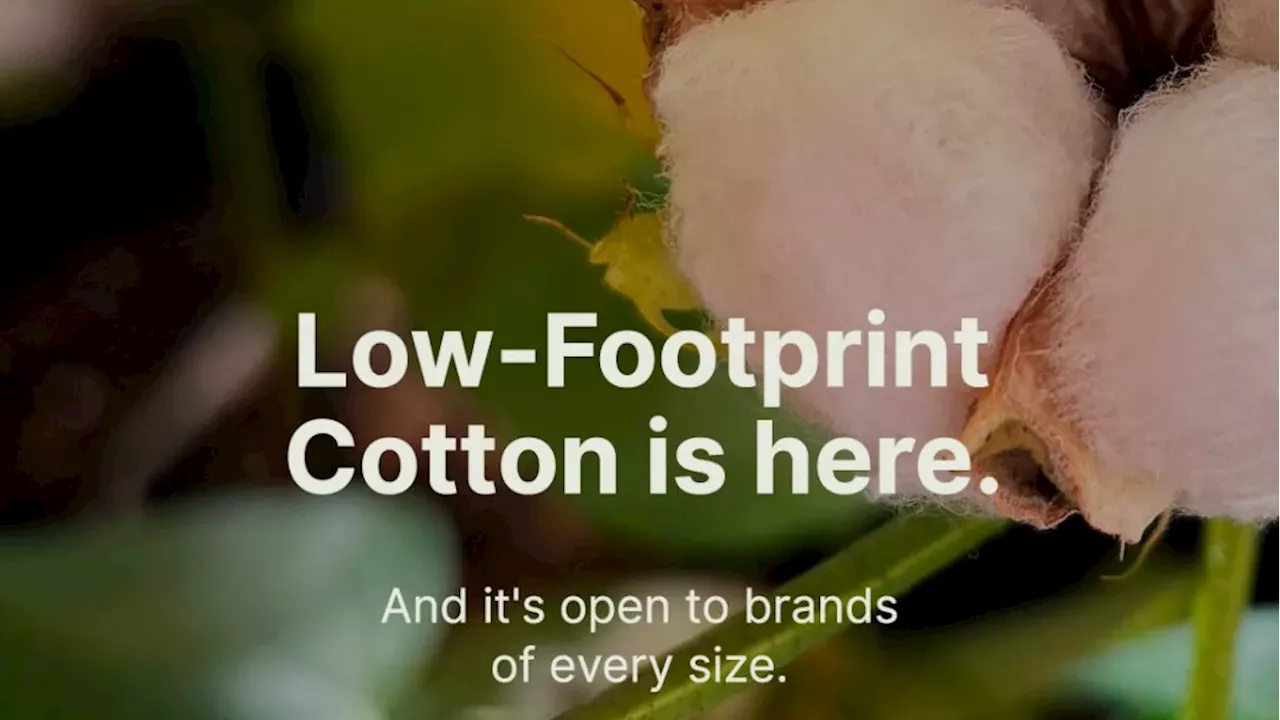 No Small Brand Left Behind: Avalo and World Collective Launch Demand Pooling Campaign