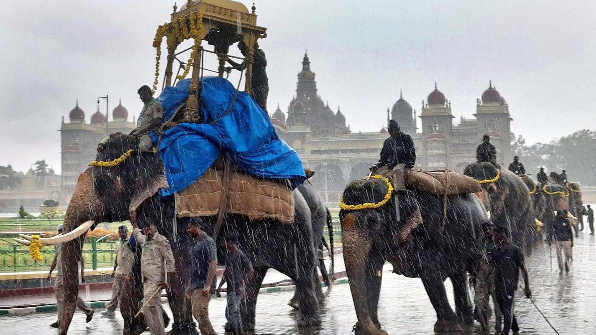 Tusker Mahendra Drops Out of Golden Howdah Race Amid Mounting Global Focus