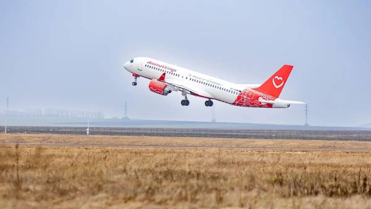 Travelers Left Stranded As Another Airline, Animawings, Cancels All Flights