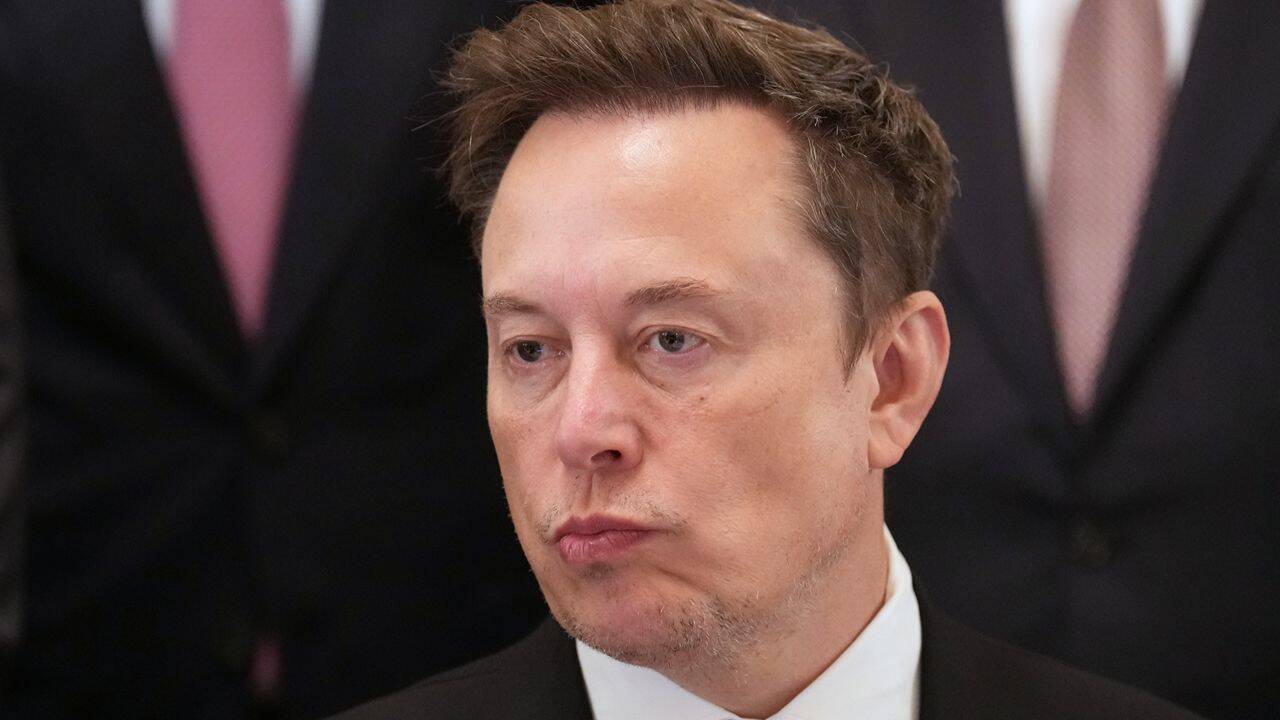 Elon Musk Admits That Tesla Robotaxis Have a 'cat Problem