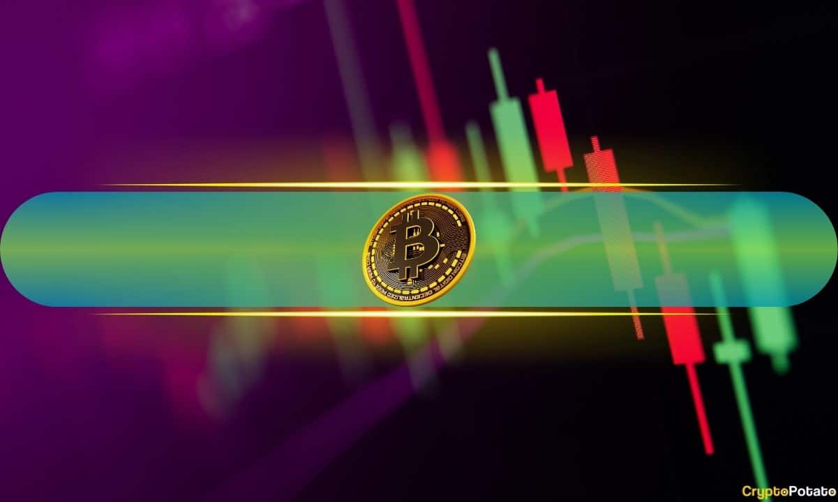 Crypto Markets in Focus: PUMP Soars 16% in 24 Hours, Bitcoin Reclaims $85K: Weekend Watch Amid Shifting On-Chain Metrics