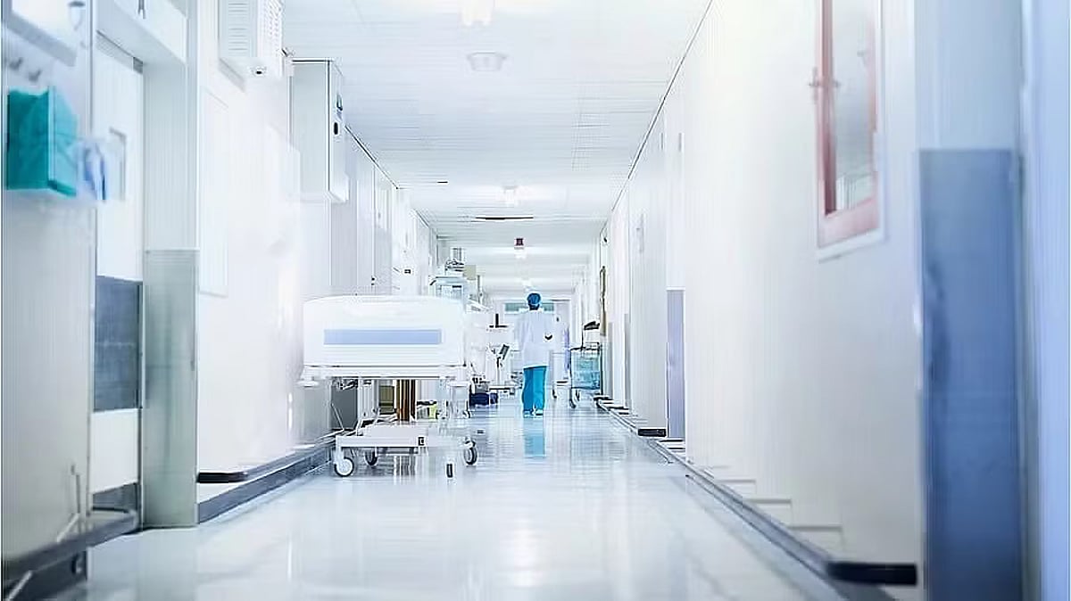 Bengaluru: Pet Dog Mauls 14-year-old Boy Near Dobbspet, Hospitalised