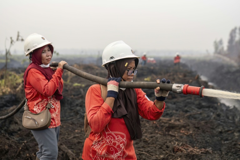 Market Developments: Women fight fires and sexism in Indonesian Borneo