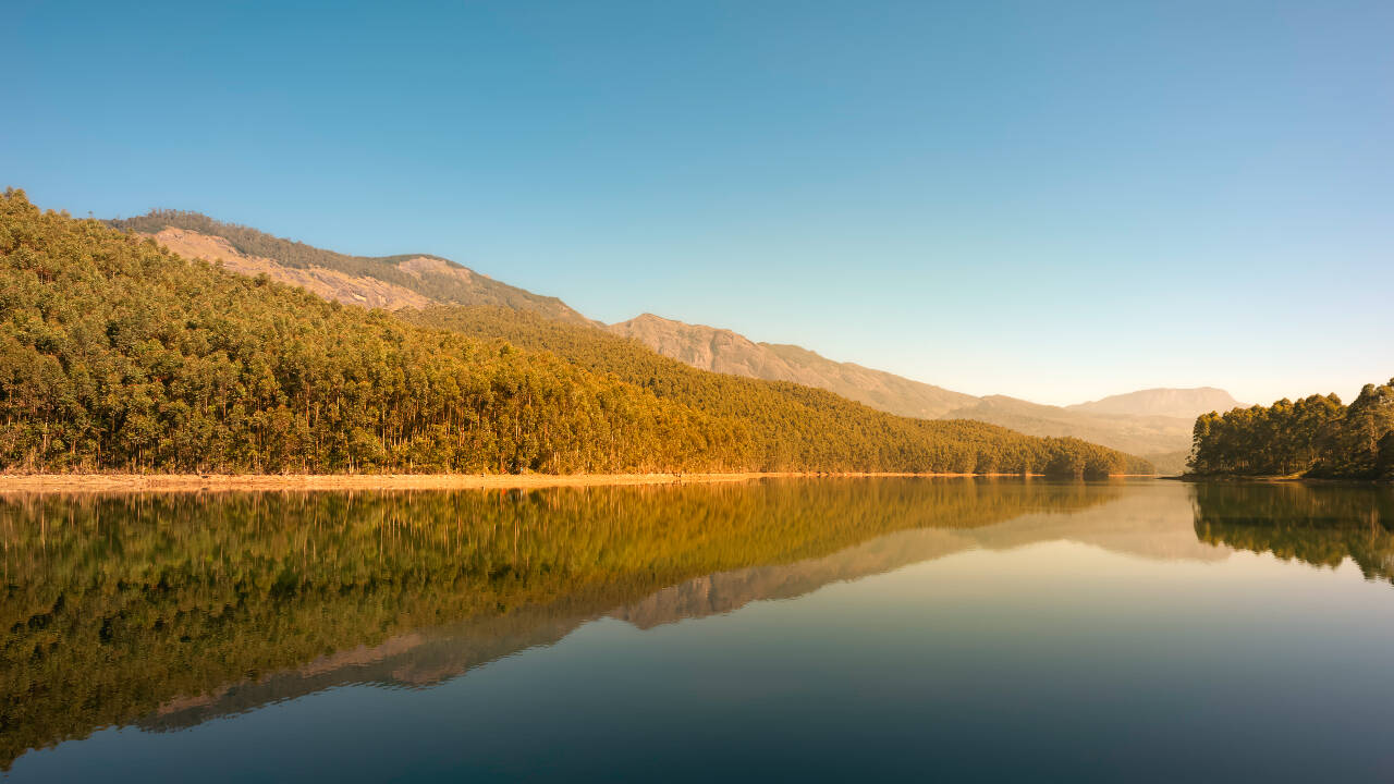 International Briefing: Ontario protects 969 acres at Echo Lake, home to over 400 wildlife species