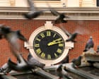 Global Perspective: Boston mass transit authorities flap around for solution to pigeon menace