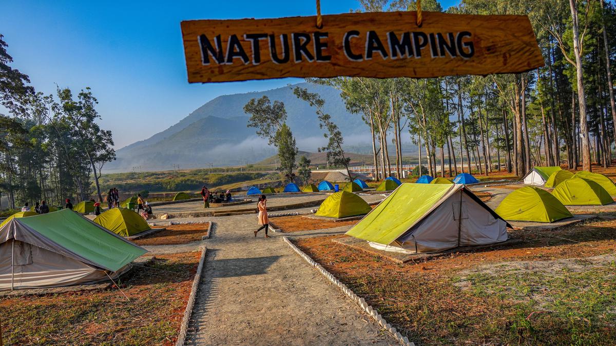 Araku Pinery Gears Up for Record Tourist Season with New Community-Led Experiences