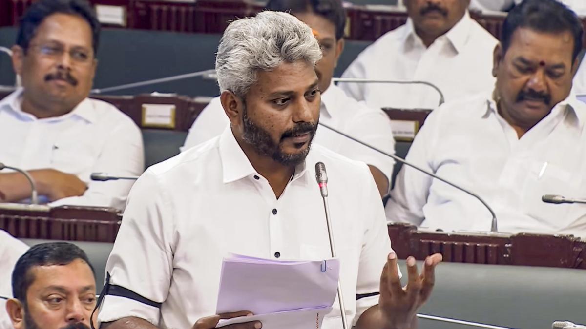 Direct DVAC to Register FIR Against Finance Minister Marie Wilson, Insists PIL Plea Before Madras High Court