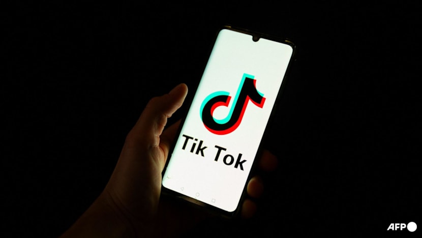 Enterprise Tech Shift: Japan court rules human voice is protected in TikTok AI case and the Scaling Frontier