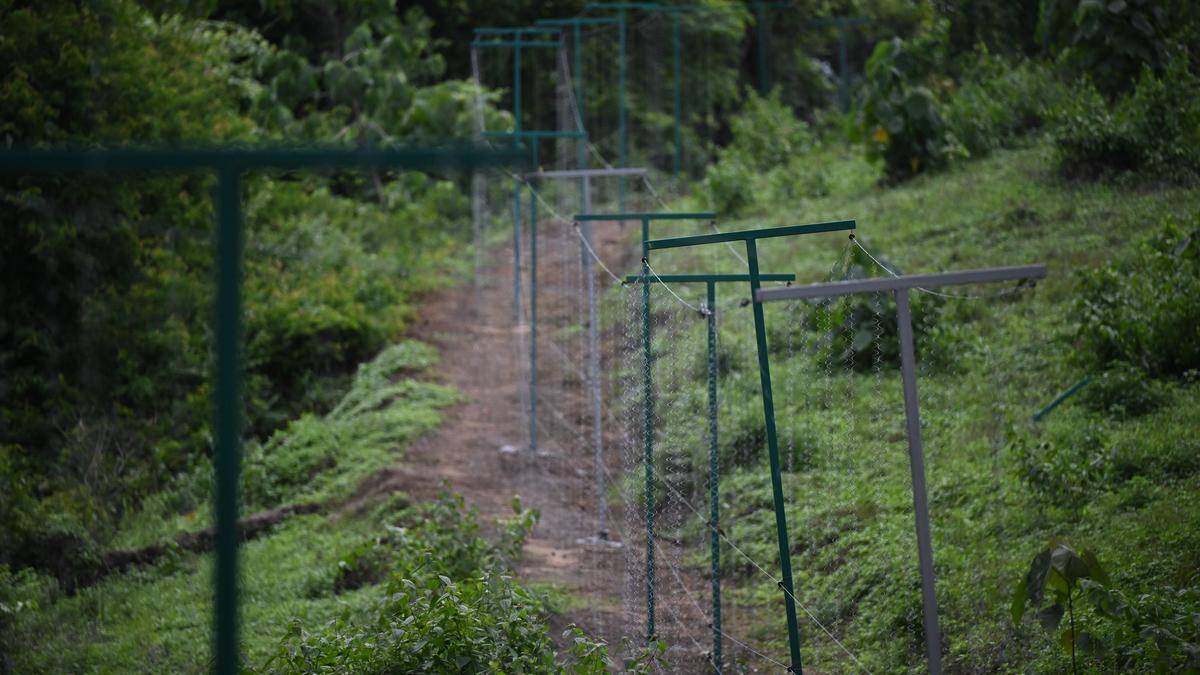 Kerala's Chakkittappara Erects Solar-Powered Hanging Fences to Combat Wild Animal Menace