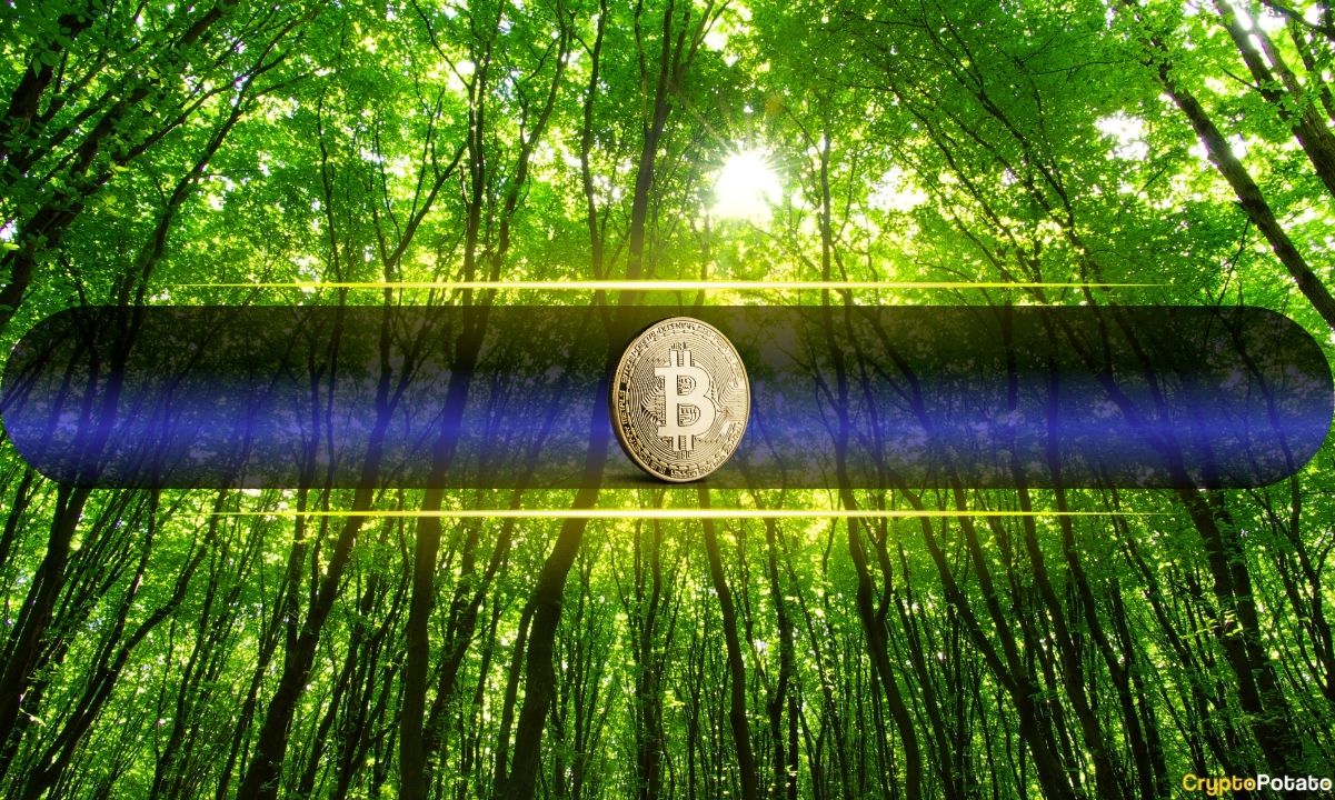 Crypto Markets in Focus: Bitcoin Price Tops $85K as US Core PCE Rises 0.2% MoM, Cooler Than Expected Amid Shifting On-Chain Metrics